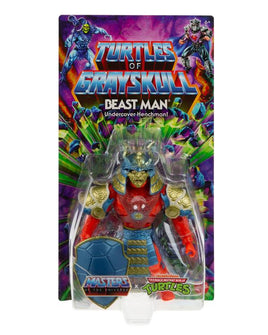 M.O.T.U ORIGINS TURTLES OF GRAYSKULL BEAST MAN